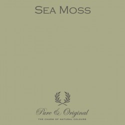 Classico - Sea Moss