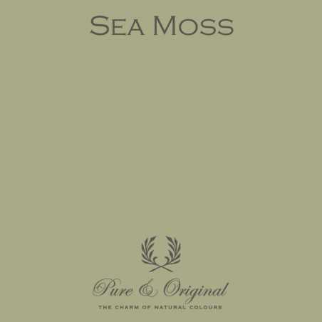 Classico - Sea Moss