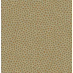 109/6029 - Senzo Spot - The...