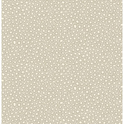 109/6030 - Senzo Spot - The...